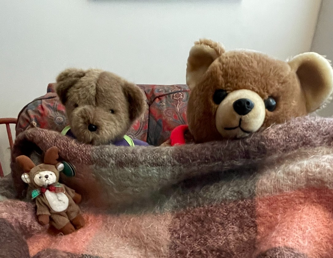 Snuggle Up – Care Bear Days
