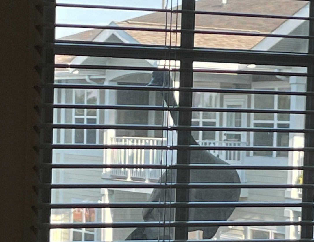 Welcome to the New Neighborhood