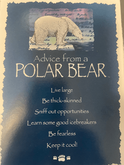 Advice From a Polar&nbsp;Bear