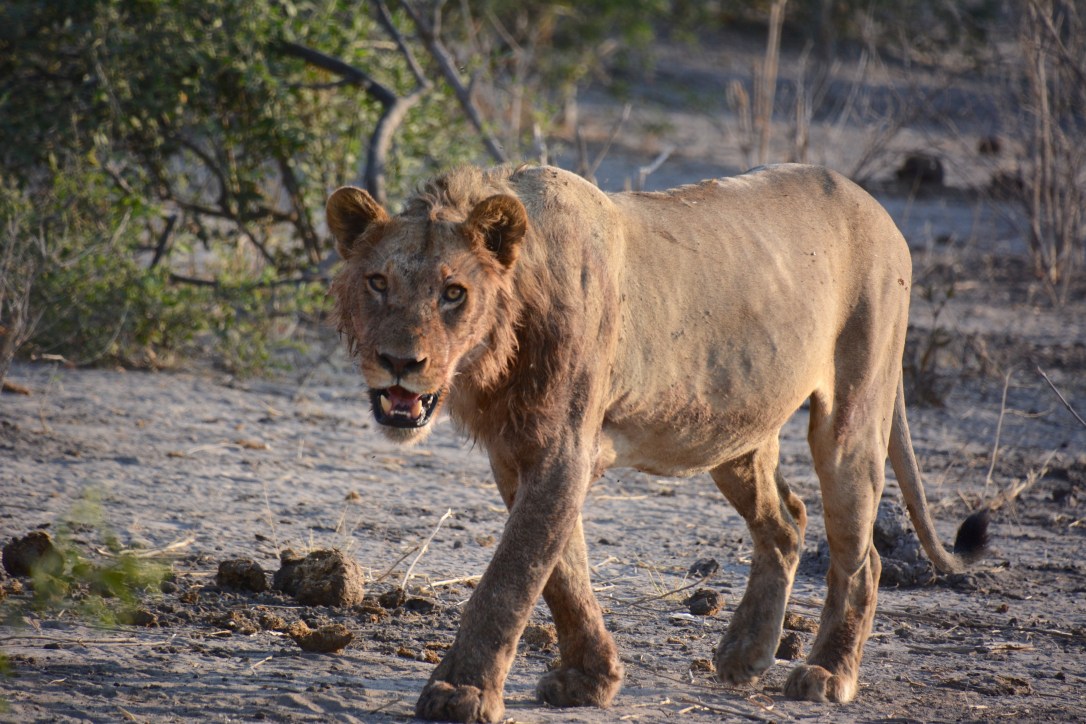 The Unheard “Thank&nbsp;You”